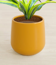 Load image into Gallery viewer, Mustard stand:all
