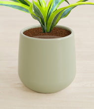 Load image into Gallery viewer, Turquoise stand:all
