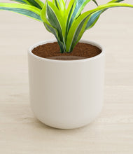 Load image into Gallery viewer, Cotton White stand:all
