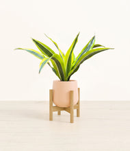 Load image into Gallery viewer, Gentle Pink stand:bamboo
