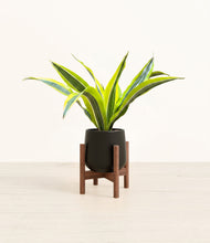 Load image into Gallery viewer, Black stand:walnut
