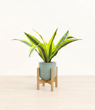Load image into Gallery viewer, Reactive Aqua stand:bamboo
