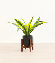 Load image into Gallery viewer, Stone Black stand:walnut
