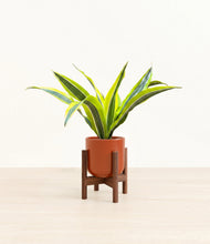Load image into Gallery viewer, Glossy Red stand:walnut
