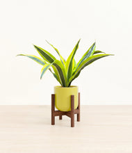 Load image into Gallery viewer, Key Lime Yellow stand:walnut
