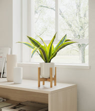 Load image into Gallery viewer, Cotton White stand:bamboo
