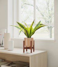 Load image into Gallery viewer, Glossy Pink stand:walnut
