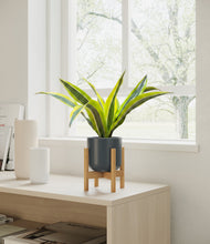 Load image into Gallery viewer, Iron Gray stand:bamboo
