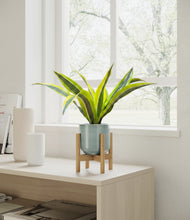 Load image into Gallery viewer, Reactive Aqua stand:bamboo
