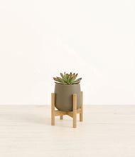 Load image into Gallery viewer, Olive stand:bamboo

