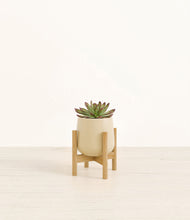 Load image into Gallery viewer, Almond Green stand:bamboo
