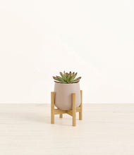 Load image into Gallery viewer, Eternal Gray stand:bamboo
