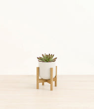 Load image into Gallery viewer, Cotton White stand:bamboo
