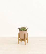 Load image into Gallery viewer, Glossy Pink stand:bamboo
