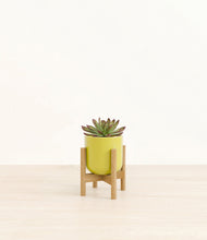 Load image into Gallery viewer, Key Lime Yellow stand:bamboo
