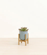 Load image into Gallery viewer, Misty Blue stand:bamboo
