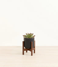 Load image into Gallery viewer, Stone Black stand:walnut
