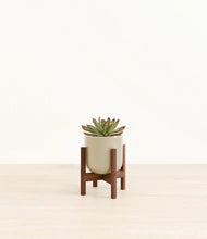 Load image into Gallery viewer, Sage Green stand:walnut
