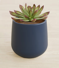 Load image into Gallery viewer, Deep Navy stand:all
