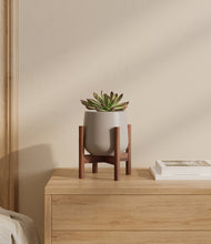 Load image into Gallery viewer, Eternal Gray stand:walnut

