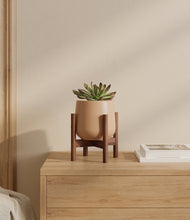 Load image into Gallery viewer, Gentle Pink stand:walnut
