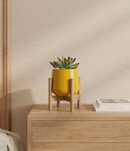 Load image into Gallery viewer, Mustard stand:bamboo
