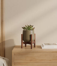 Load image into Gallery viewer, Olive stand:walnut
