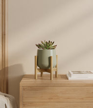 Load image into Gallery viewer, Turquoise stand:bamboo
