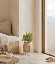 Load image into Gallery viewer, Calm Rose stand:bamboo
