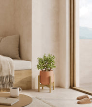 Load image into Gallery viewer, Calm Rose stand:bamboo
