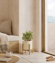 Load image into Gallery viewer, Cream stand:bamboo
