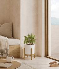 Load image into Gallery viewer, White stand:bamboo
