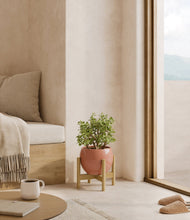 Load image into Gallery viewer, Calm Rose stand:bamboo
