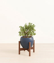 Load image into Gallery viewer, Deep Navy stand:walnut
