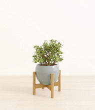 Load image into Gallery viewer, Deep Ocean stand:bamboo
