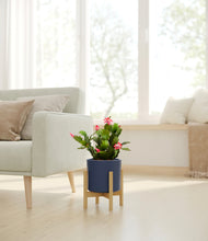 Load image into Gallery viewer, -
