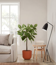 Lade das Bild in den Galerie-Viewer, Earth Red
