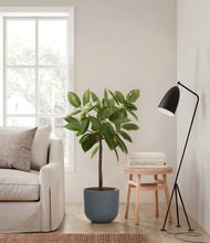 Lade das Bild in den Galerie-Viewer, Iron Gray
