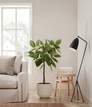 Lade das Bild in den Galerie-Viewer, Natural Bamboo
