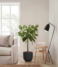 Lade das Bild in den Galerie-Viewer, Stone Black
