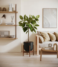 Lade das Bild in den Galerie-Viewer, Stone Black stand:walnut
