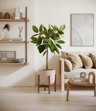Lade das Bild in den Galerie-Viewer, Sandy Pink stand:walnut
