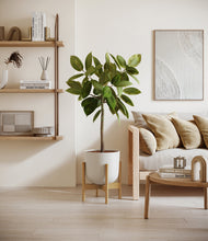 Lade das Bild in den Galerie-Viewer, Natural Bamboo stand:bamboo
