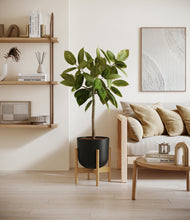 Lade das Bild in den Galerie-Viewer, Stone Black stand:bamboo
