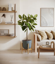 Lade das Bild in den Galerie-Viewer, Iron Gray stand:bamboo
