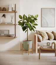Lade das Bild in den Galerie-Viewer, Sage Green stand:bamboo
