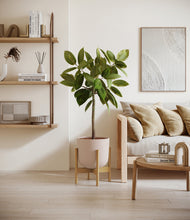 Lade das Bild in den Galerie-Viewer, Sandy Pink stand:bamboo
