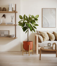 Lade das Bild in den Galerie-Viewer, Earth Red stand:bamboo
