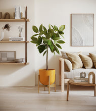 Lade das Bild in den Galerie-Viewer, Sunset Orange stand:bamboo
