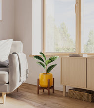 Load image into Gallery viewer, Mustard stand:walnut
